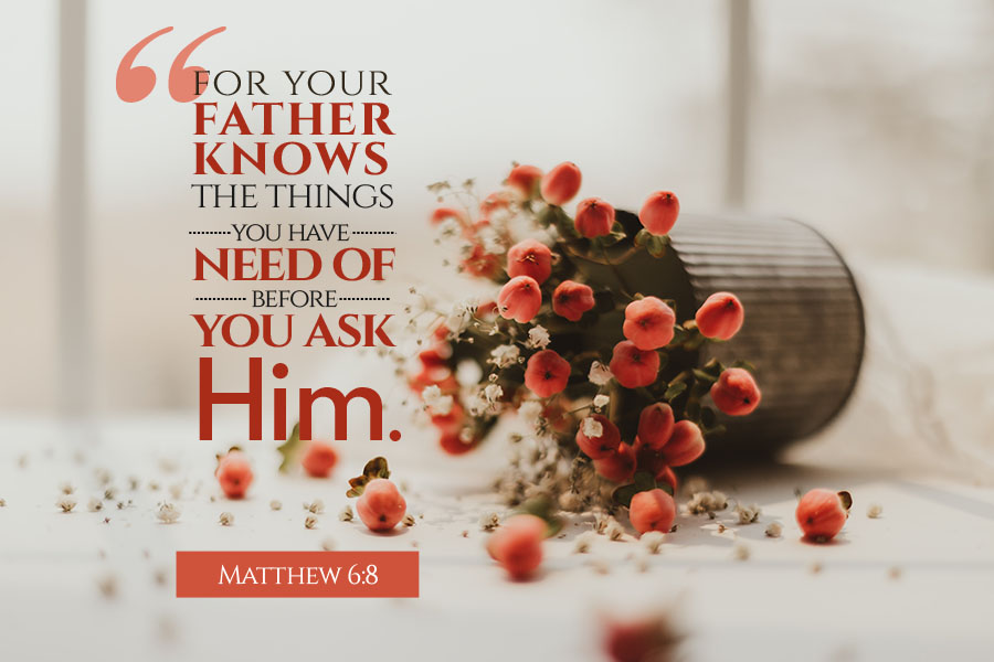 Matthew 6:8