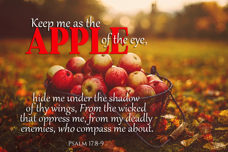 Psalm 17:8-9