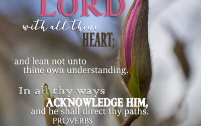 Proverbs 3:5-6