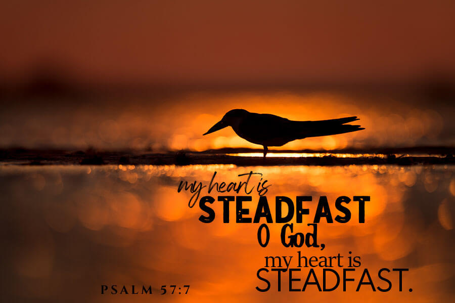 Psalm 57:7