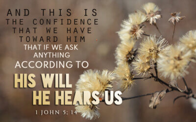 1 John 5:14