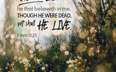 John 11:25