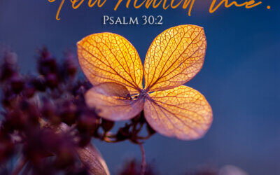 Psalm 30:2