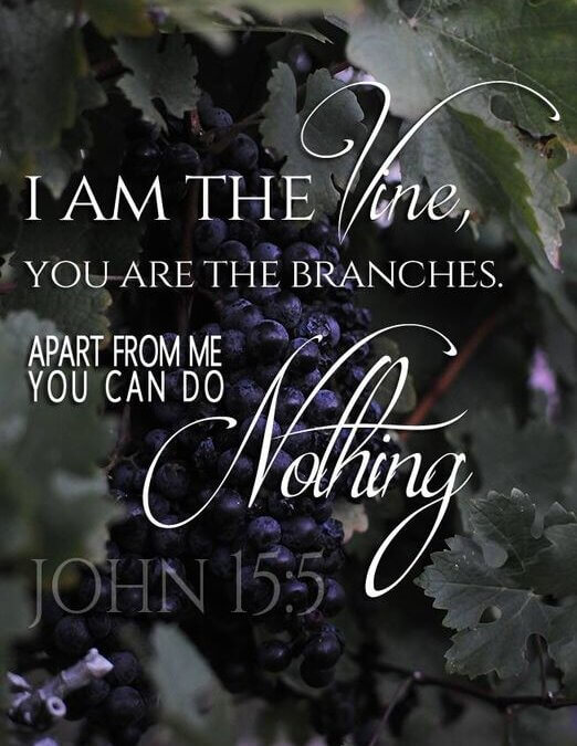 John 15:5