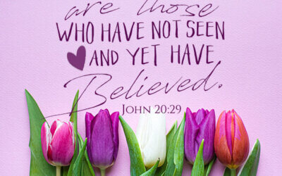 John 20:29