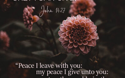 John 14:27