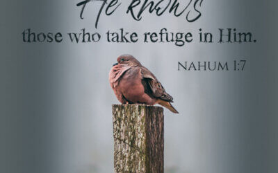 Nahum 1:7