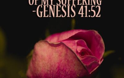 Genesis 41:52