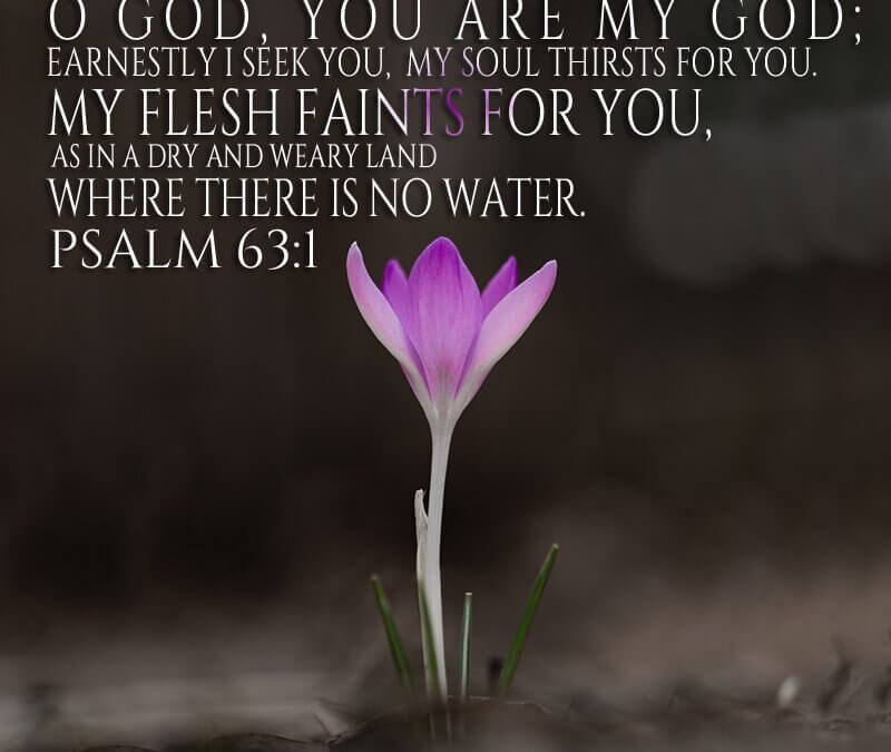 Psalm 63:1