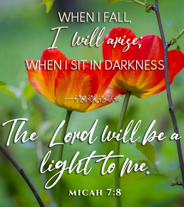Micah 7:8
