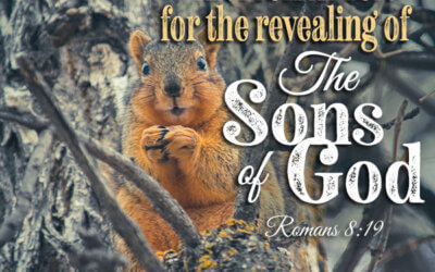 Romans 8:19