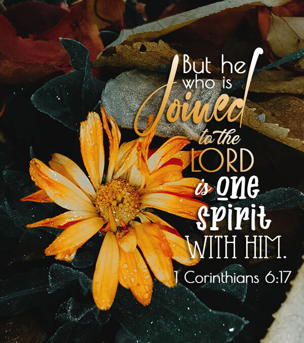 1 Cor 6:17