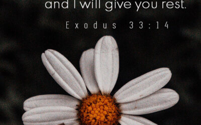 Exodus 33:14