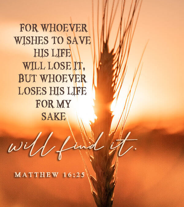 Matthew 16:25