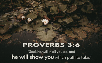 Proverbs 3:6