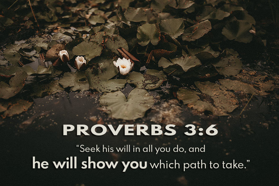 Proverbs 3:6