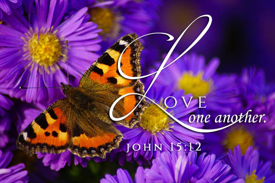 John 15:12
