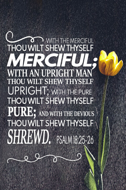 Psalm 18 25 26 Photos With Gods Word psalm-18-25-26-photos-with-gods-word