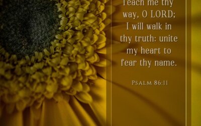 Psalm 86:11