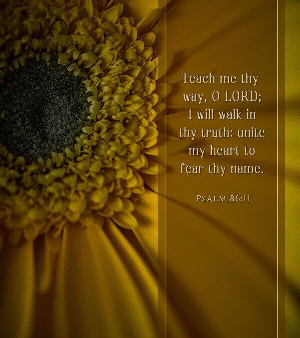 Psalm 86:11