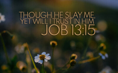 Job 13:15