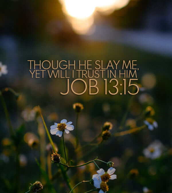 Job 13:15