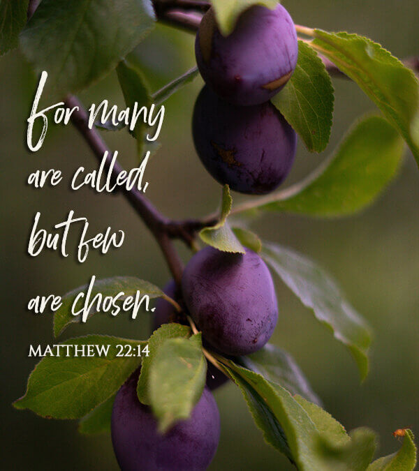 Matthew 22:14