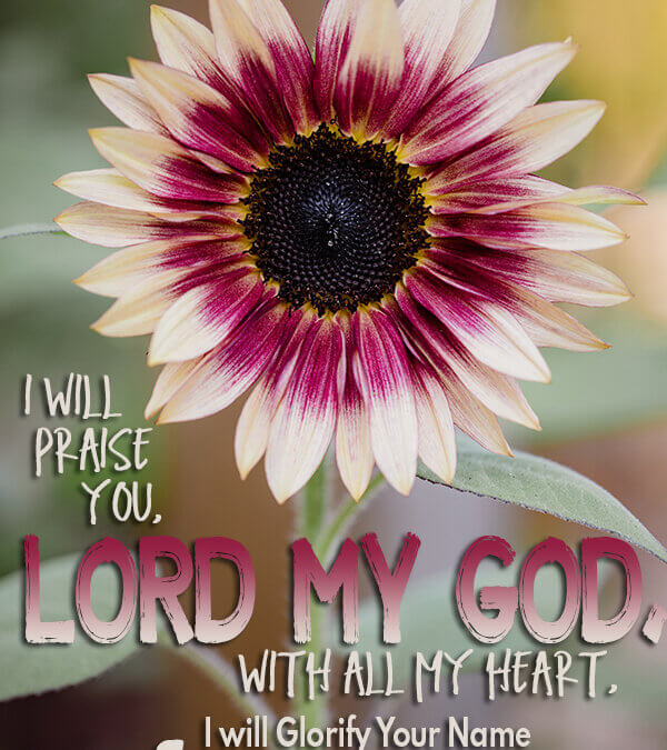 Psalm 86:12