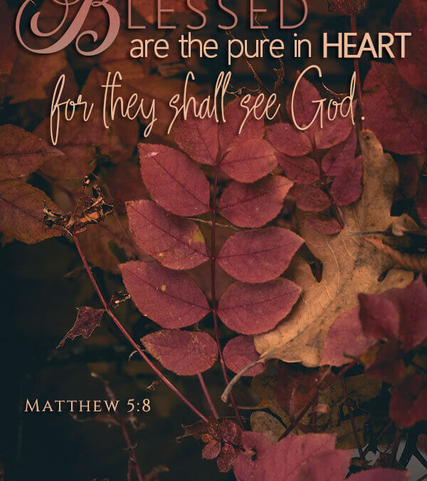 Matthew 5:8