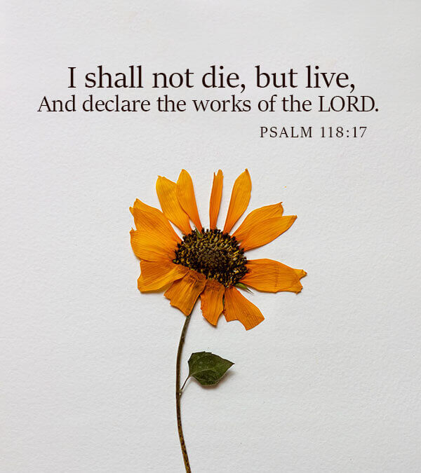 Psalm 118:17