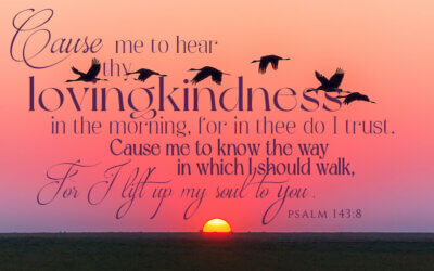 Psalm 143:8