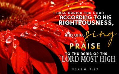 Psalm 7:17