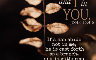 John 15:4,6