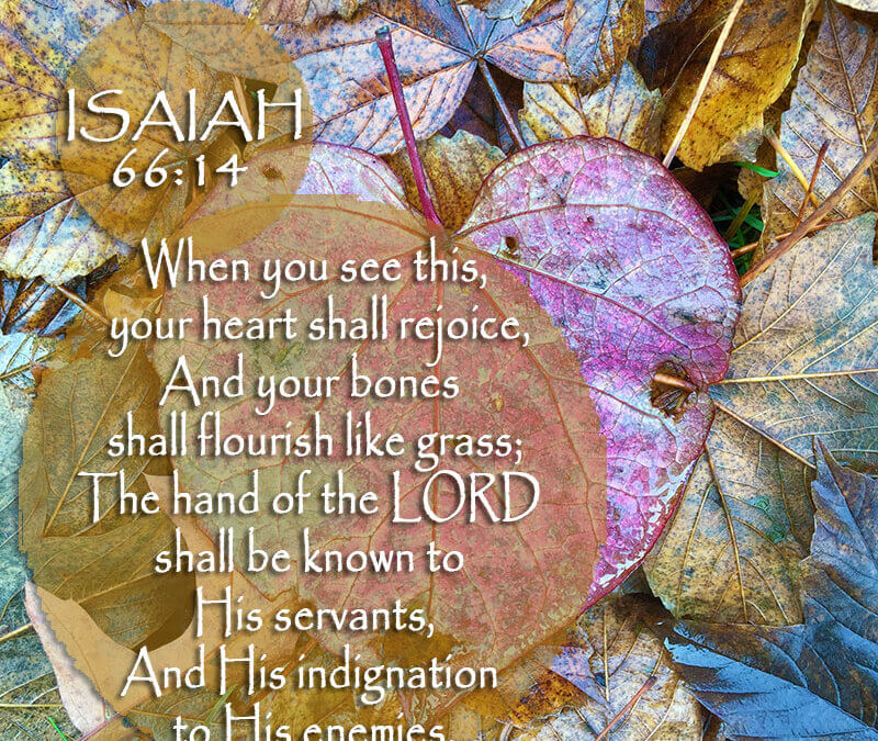 Isaiah 66:14