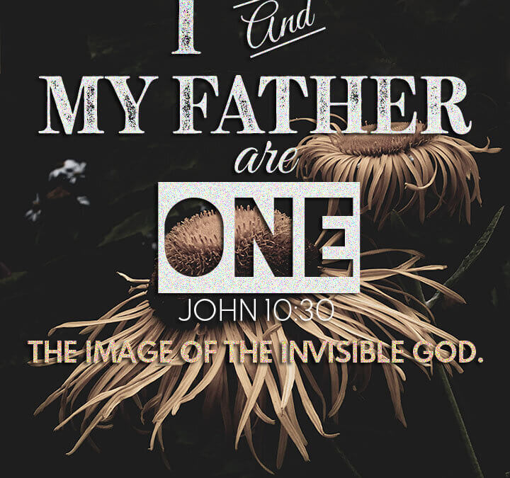 John 10:30