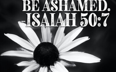 Isaiah 50:7