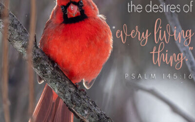 Psalm 145:16