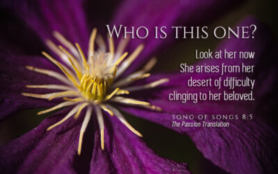 Song of Songs 8:5