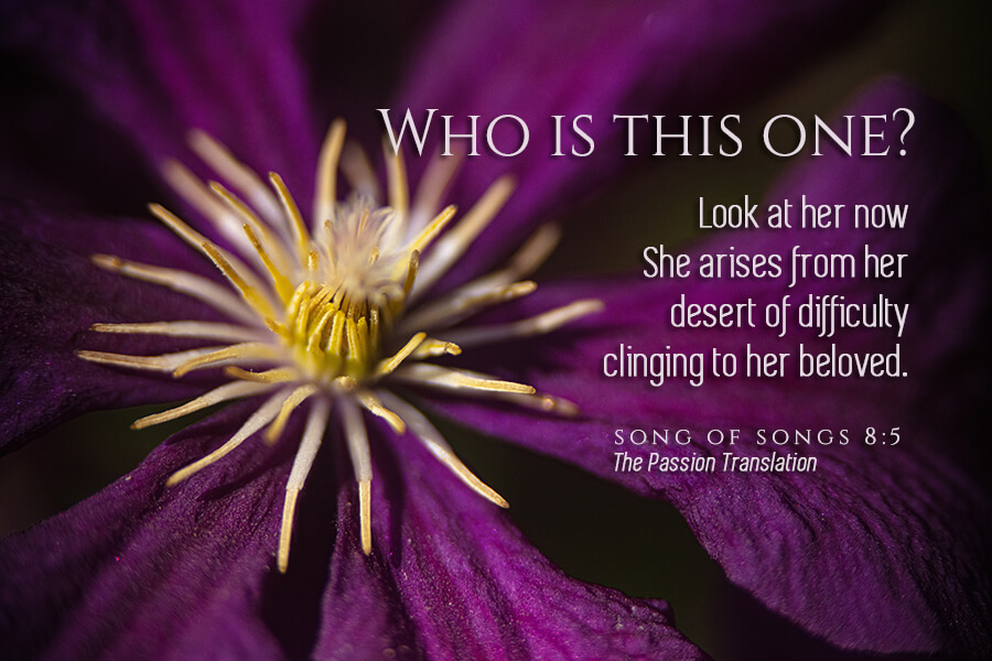 Song of Songs 8:5