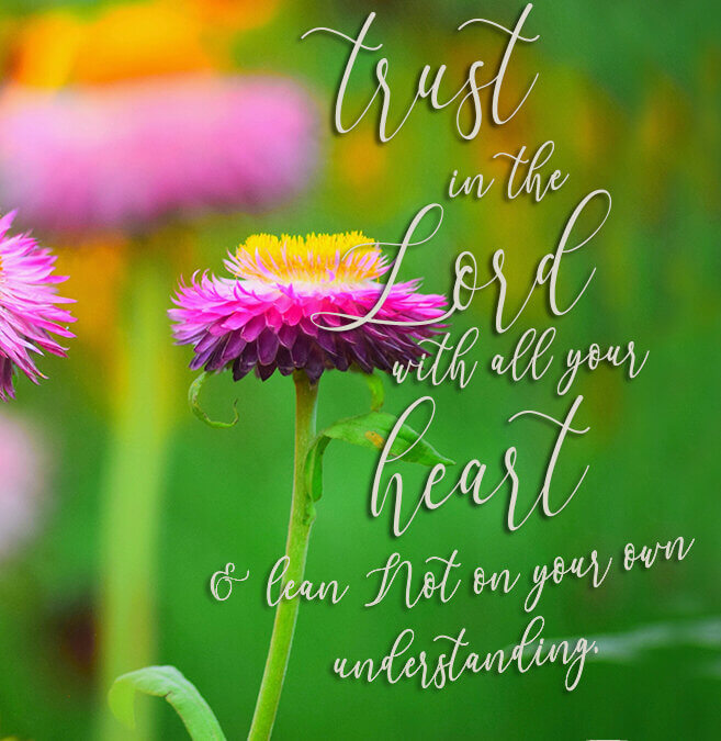 Proverbs 3:5