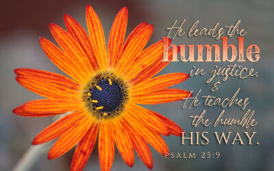 Psalm 25:9