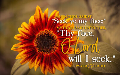 Psalm 27:8