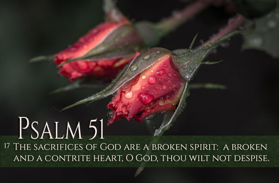 psalm-51-17-photos-with-gods-word