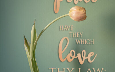 Psalm 119:165