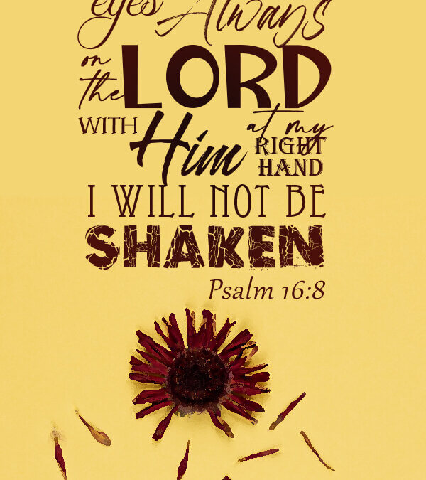 Psalm 16:8