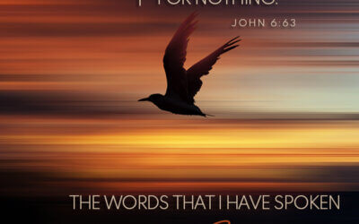 John 6:63