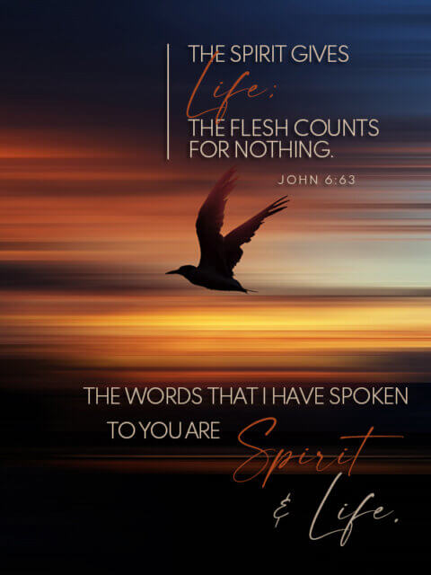 John 6:63 | Photos with Gods Word