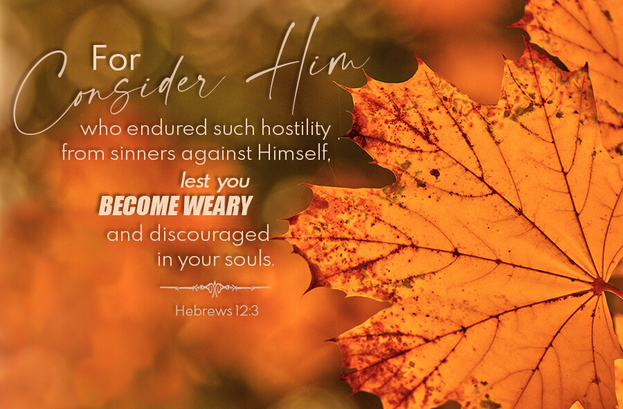 Hebrews 12:3