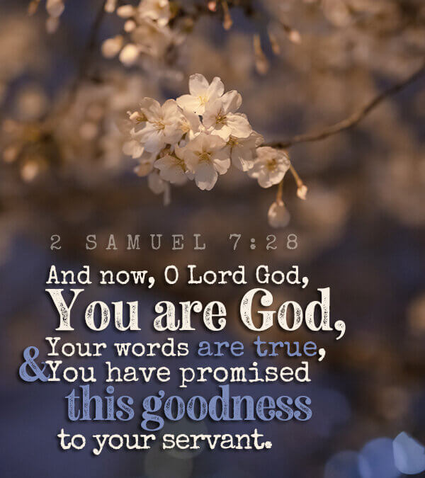 2 Samuel 7:28