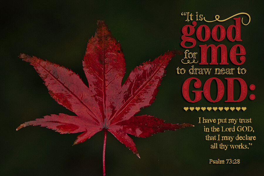 psalm-73-28-photos-with-gods-word